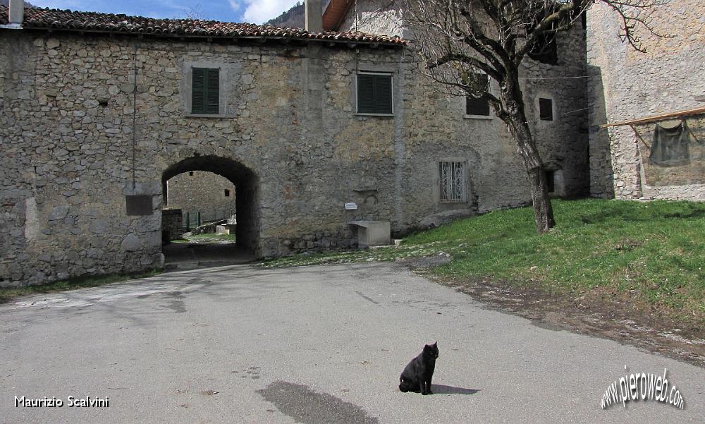 30 Ciao gatto. Ciao Vettarola.JPG